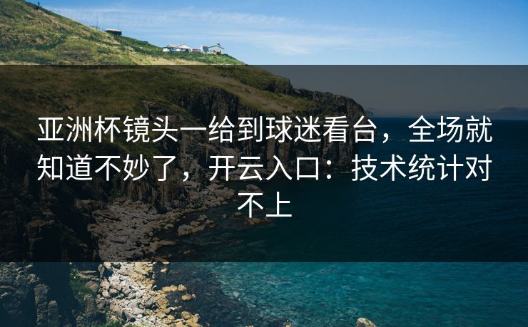 亚洲杯镜头一给到球迷看台，全场就知道不妙了，开云入口：技术统计对不上