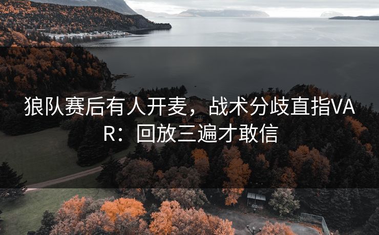 狼队赛后有人开麦，战术分歧直指VAR：回放三遍才敢信