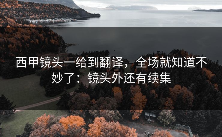 西甲镜头一给到翻译，全场就知道不妙了：镜头外还有续集