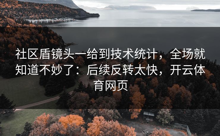 社区盾镜头一给到技术统计，全场就知道不妙了：后续反转太快，开云体育网页