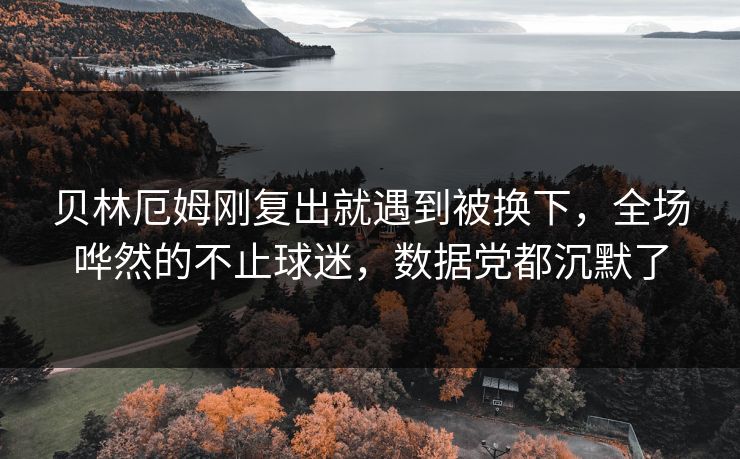 贝林厄姆刚复出就遇到被换下,全场哗然的不止球迷,数据党都沉默了 贝林厄姆刚复出就遇到被换下,全场哗然的不止球迷,数据党都沉默了
