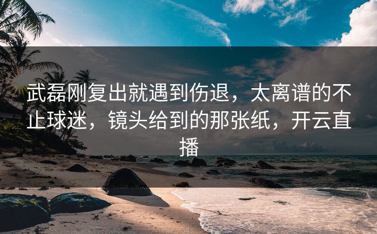 武磊刚复出就遇到伤退，太离谱的不止球迷，镜头给到的那张纸，开云直播