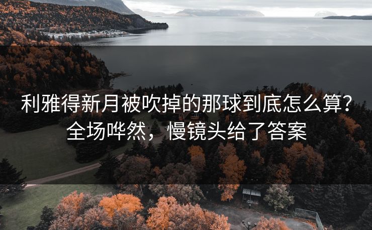 利雅得新月被吹掉的那球到底怎么算?全场哗然,慢镜头给了答案 利雅得新月被吹掉的那球到底怎么算?全场哗然,慢镜头给了答案