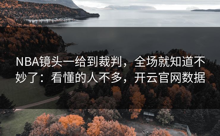 NBA镜头一给到裁判，全场就知道不妙了：看懂的人不多，开云官网数据