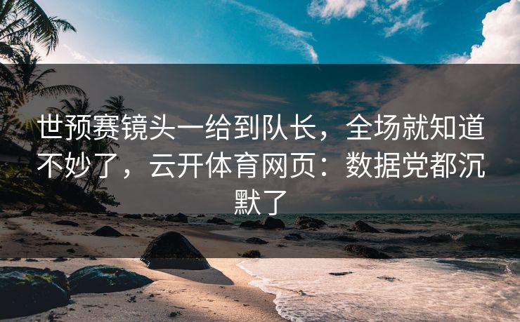 世预赛镜头一给到队长，全场就知道不妙了，云开体育网页：数据党都沉默了