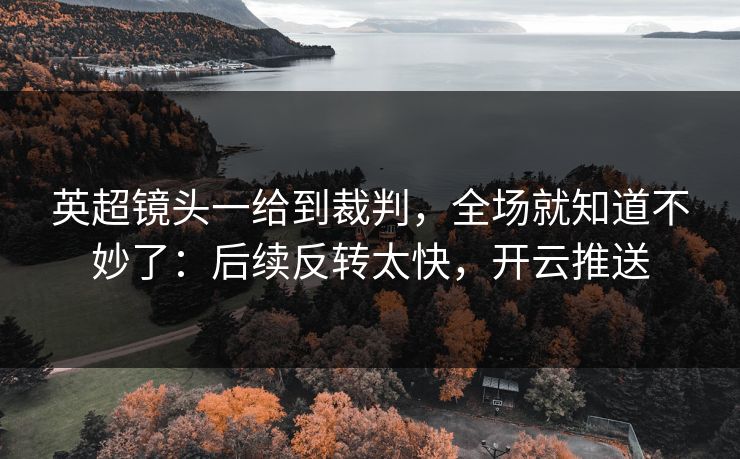 英超镜头一给到裁判，全场就知道不妙了：后续反转太快，开云推送
