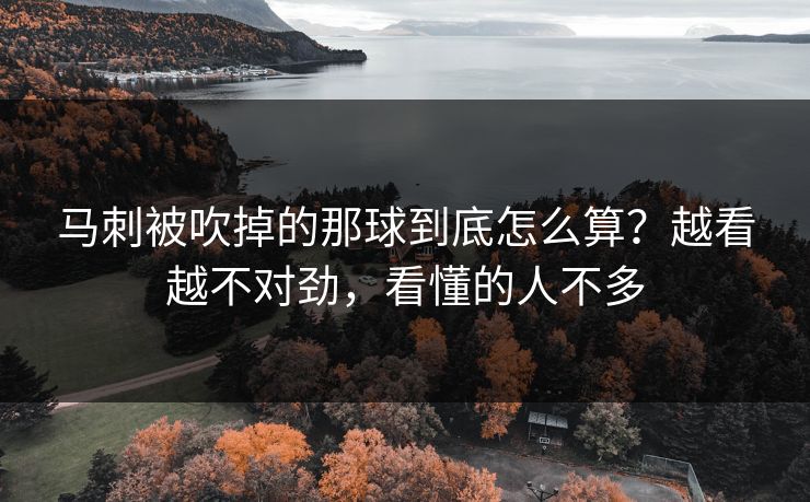 马刺被吹掉的那球到底怎么算？越看越不对劲，看懂的人不多